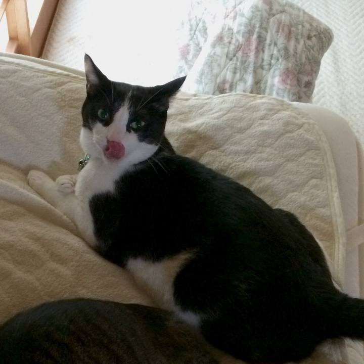 71ee8579 af25 43aa b666 1fedc1b53d2a