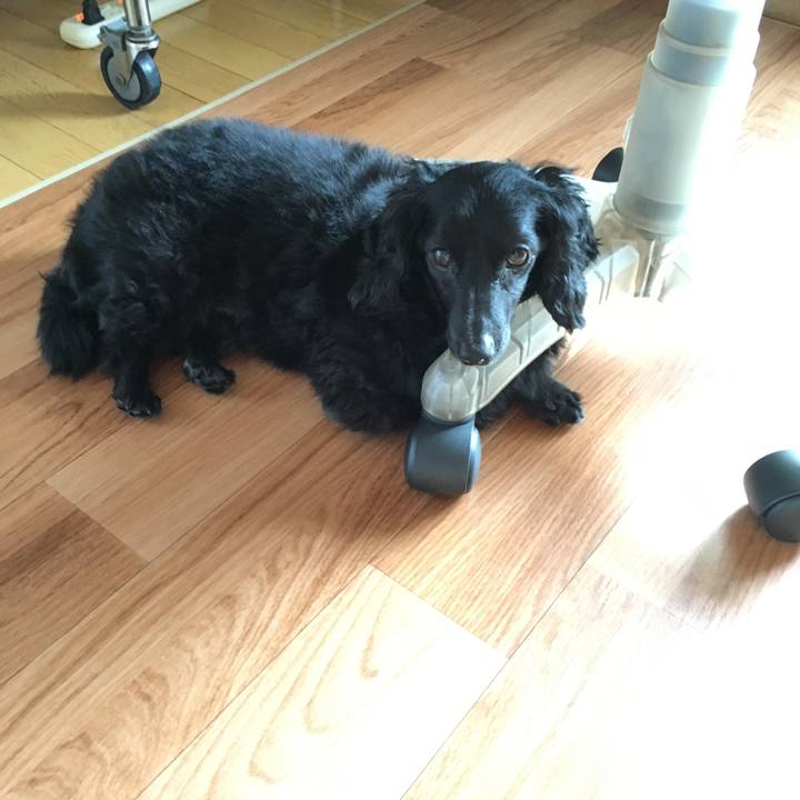 71ef08c4 c616 4258 b0ed 8a6f6d233976