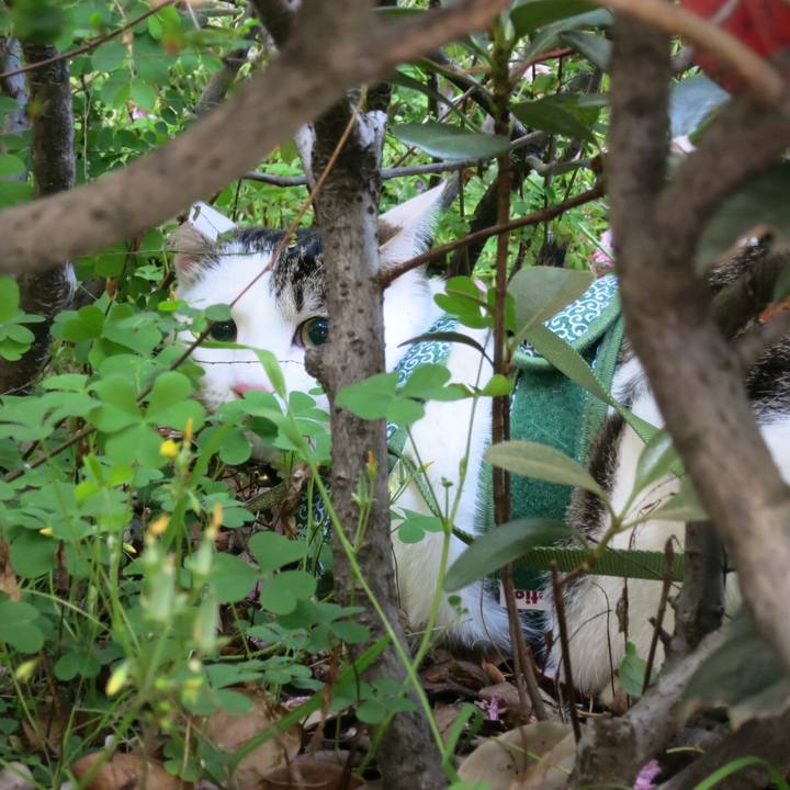 71f19e12 4b46 4c54 b170 0960e84cf63c