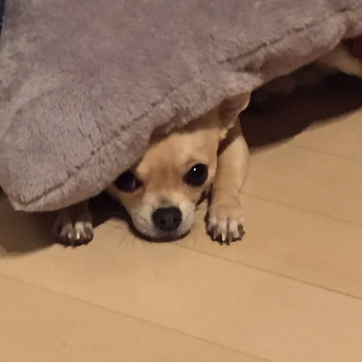 71f1c0a5 b506 4270 9f1c 6a8b69b459d2