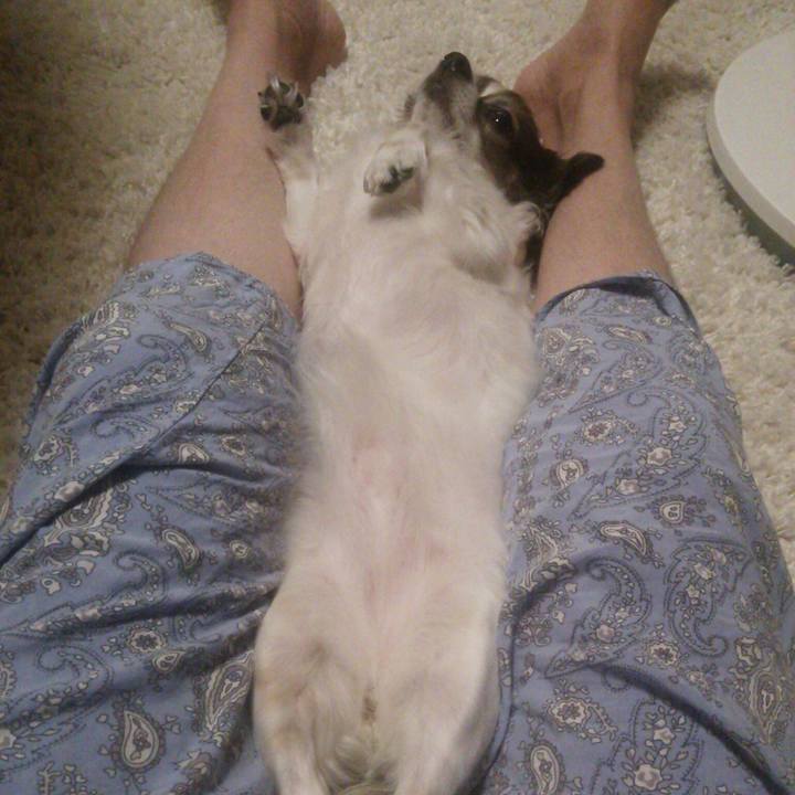 71f22b51 a761 4e31 9eb4 443b618a4c41