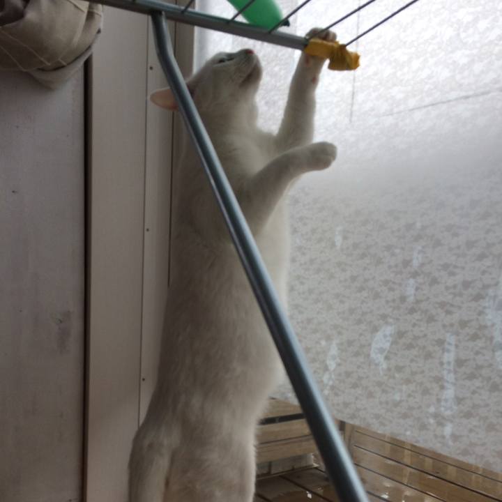 71f26fb8 f847 4033 94d3 fc1a2c5efd3d