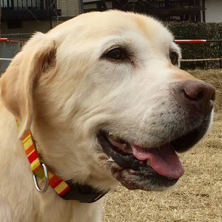 71f28772 d4eb 4684 af27 902060d241e0