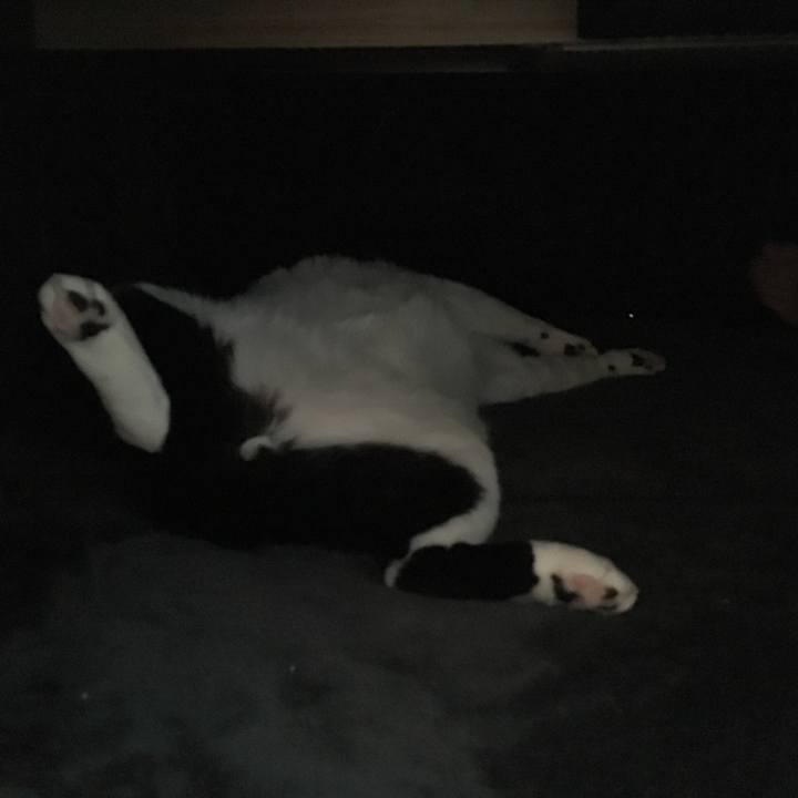 71f2d0b1 36ea 4773 aeb3 077e9050be81