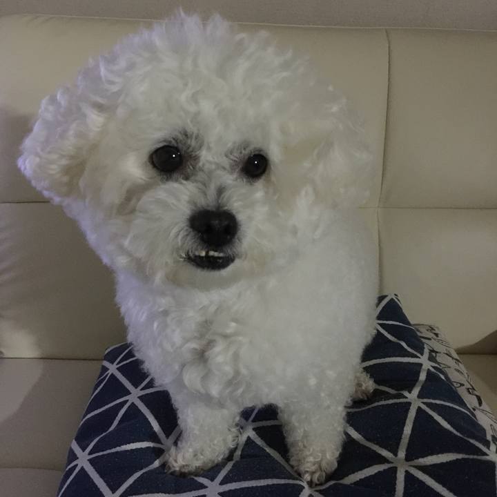 71f2d686 38e7 42a6 b15b 5a3f8ebc21a1