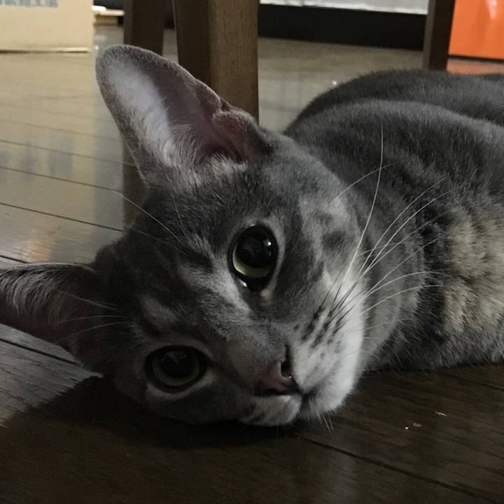 71f3c9b0 a782 4af1 98e0 29a1bc963333