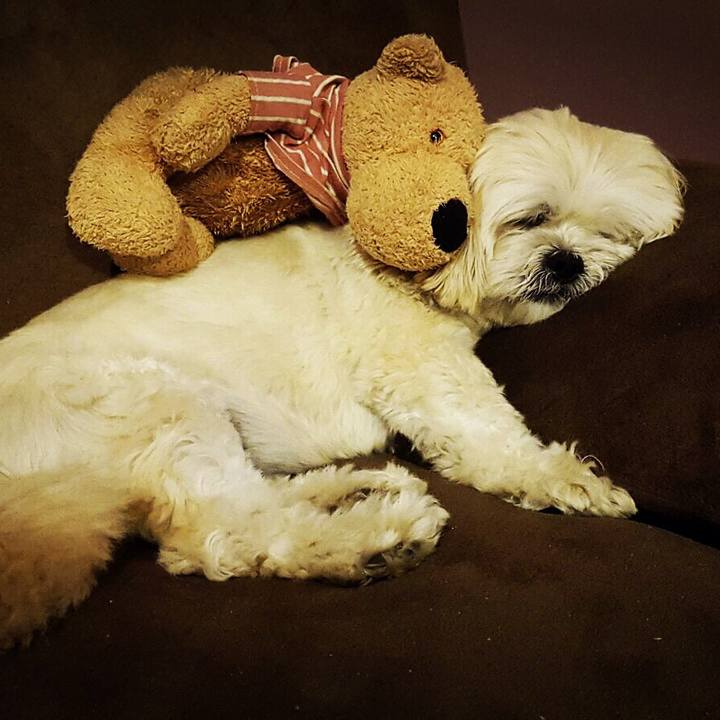 71f3e84a 5f77 4e02 b8cd 8e68decdba18