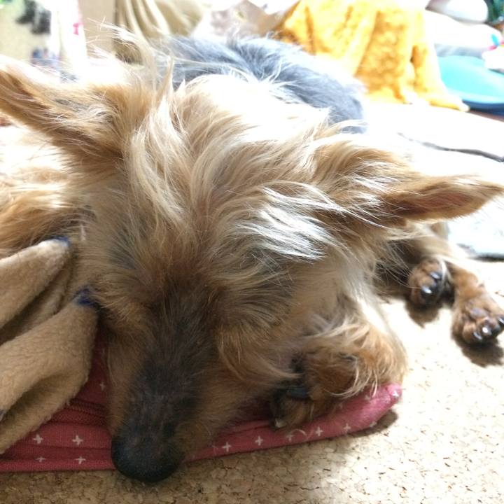 71f40949 8678 406f bf81 a2833d1b7c17