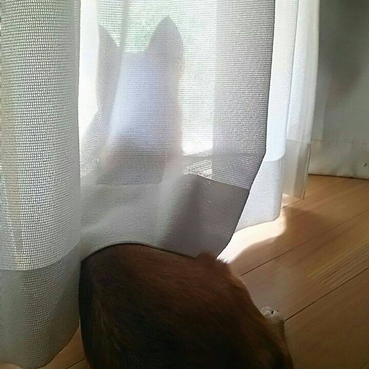 71f5dd5e 3187 4853 99ac 441e2b88f42b