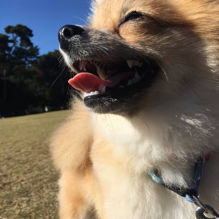 71f65220 6487 4239 87c4 dd58ef398197