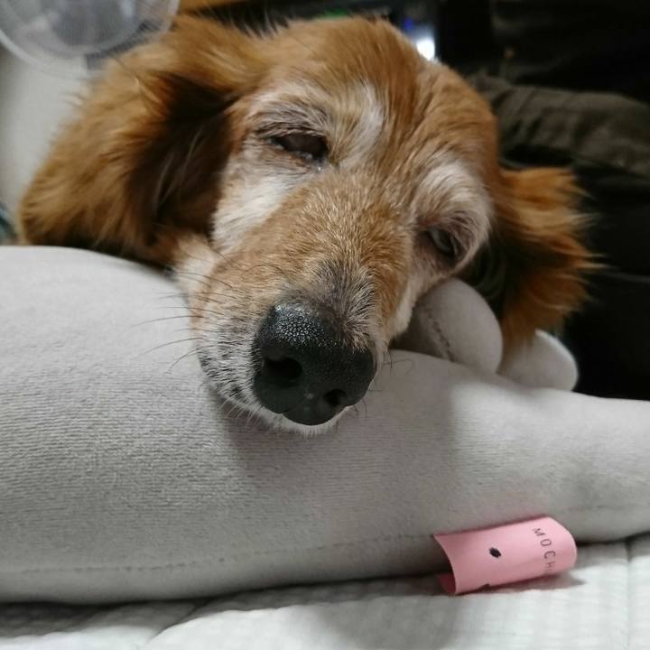 71f67759 0c75 44eb 8a6b 27545232af56