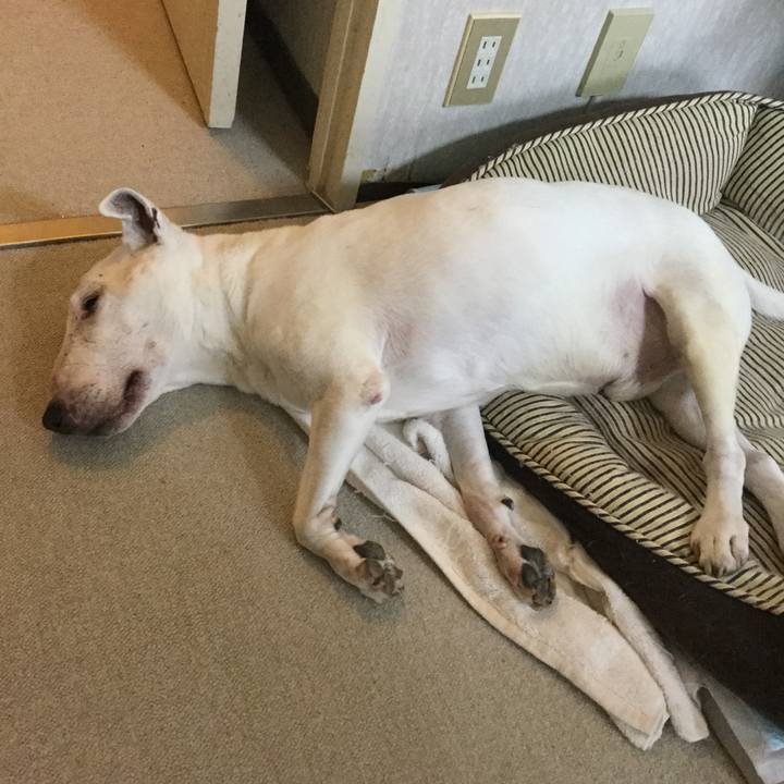 71f67f51 19c4 4e8a 906d 4d958af3d2d8