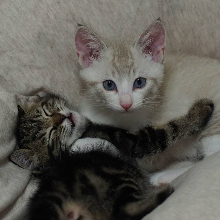 71f6a2d7 03cf 46a5 abc9 b95b4e149d0d