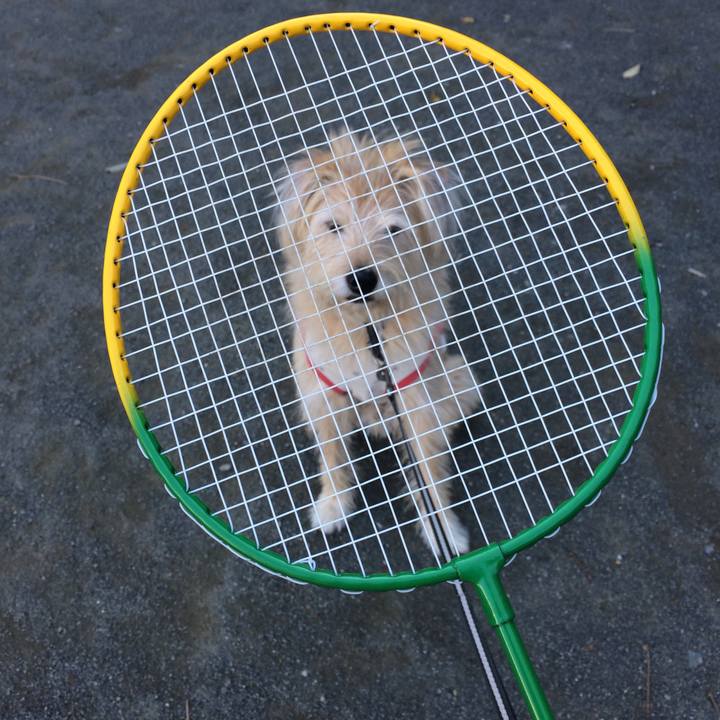 71f8264e 017e 41b9 a680 24c62a4599de