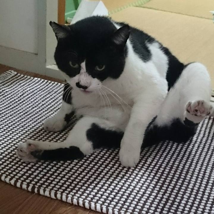 71f860d4 b1dd 4316 b233 f9fcd821a013