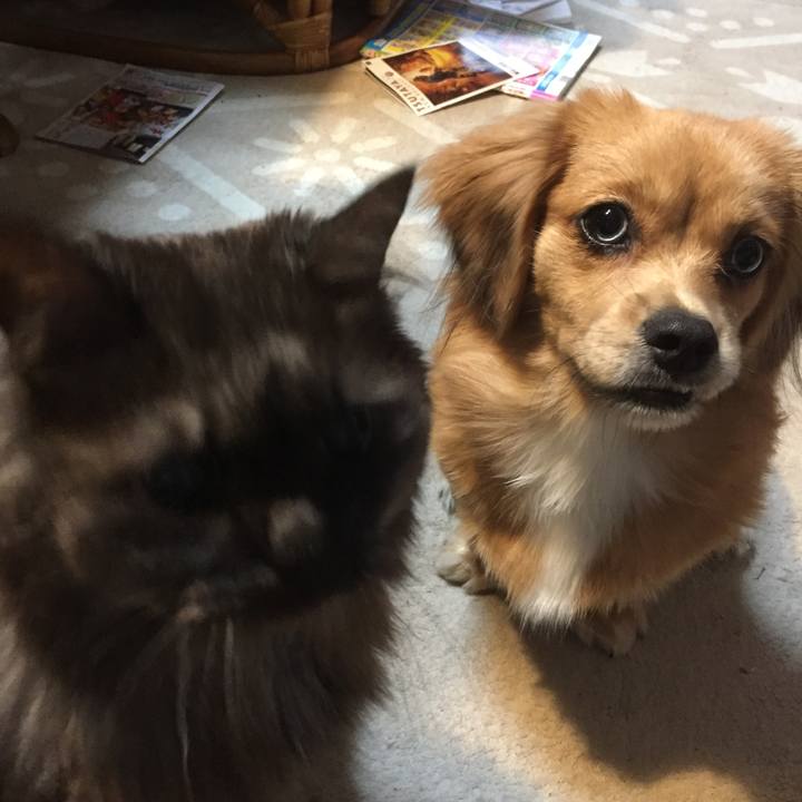 71f87bd3 90ed 4796 a638 86726a2a1342