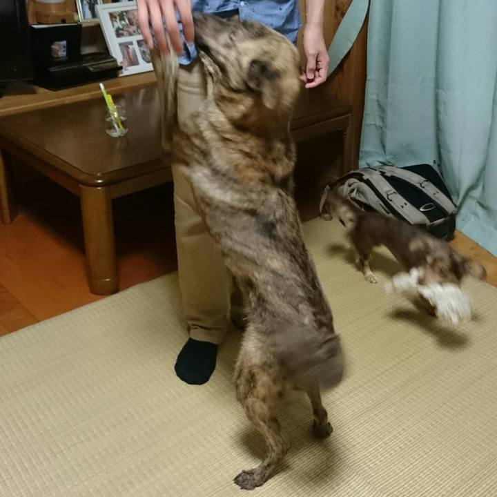 71f88439 9237 4705 ab19 e6bcca11a924