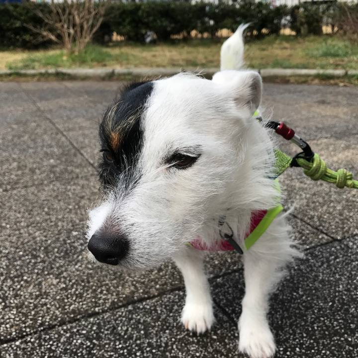 71f8a9cd 7e69 44c2 9966 ab9f82f489bc