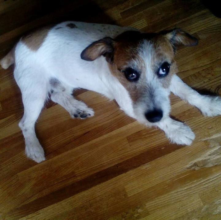 71f8c8be 26e2 416e a064 9c4b2dc6bf34