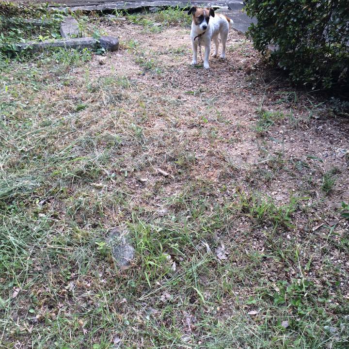 71f95325 5dbc 44cc ba7a dffb8da2c57a