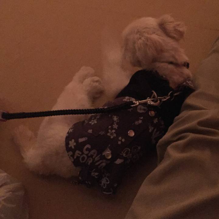 71f990ce 12af 4f62 aab1 5362ed4d6160