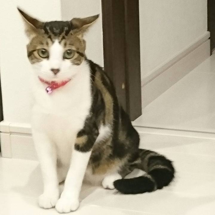 71fac3f4 430d 4947 8b3c 6247492498a7