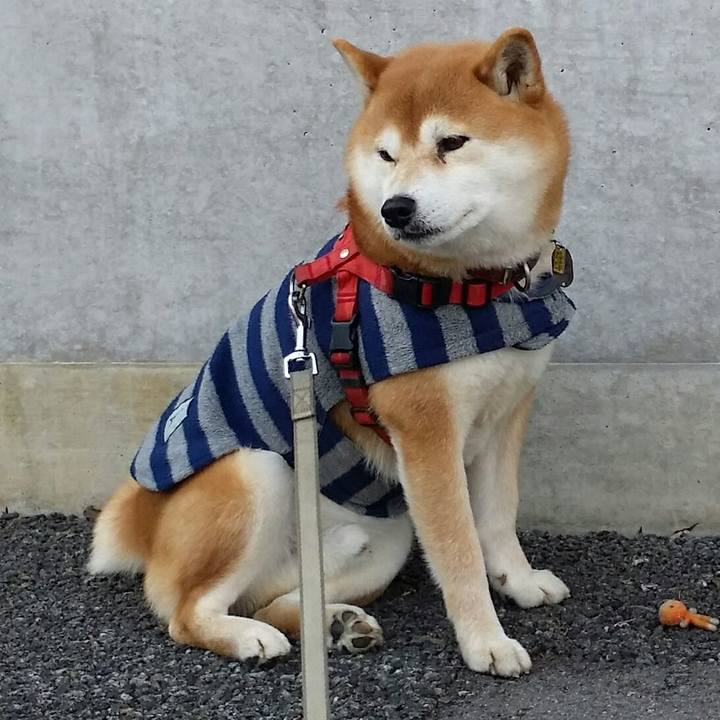 71fb08ce 7e1b 484c b992 7783beb5ba10