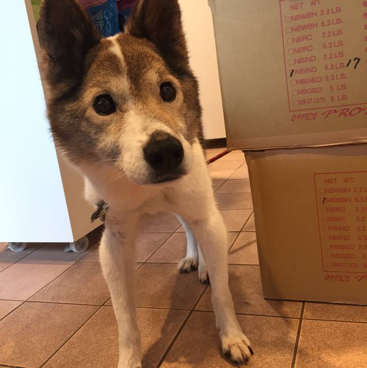 71fb6b65 2059 41d2 8b11 f6152f8d1ca0