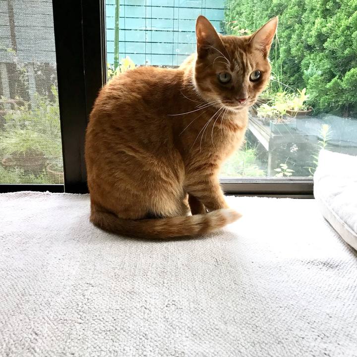 71fbeae2 f203 47cb 8057 62c8fd94fc64