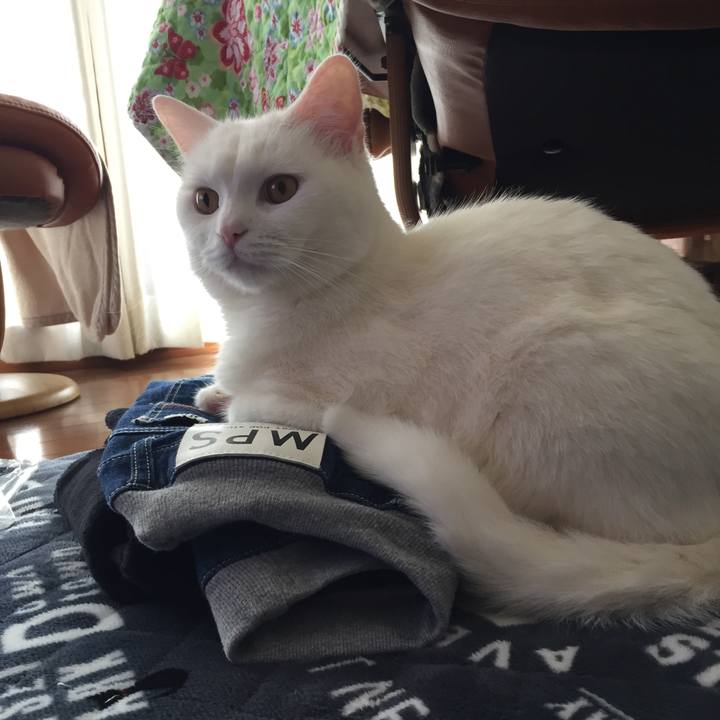 71fc9d5f 2288 410e befb 59aa22cd56c4