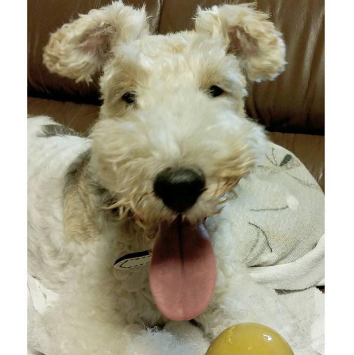 71fcf156 b00d 432d 99e9 2badafdcf6a5