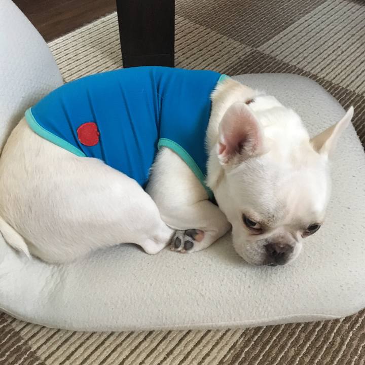 71fd5d19 5eab 40ad ac7f 8c7f07bd06b2