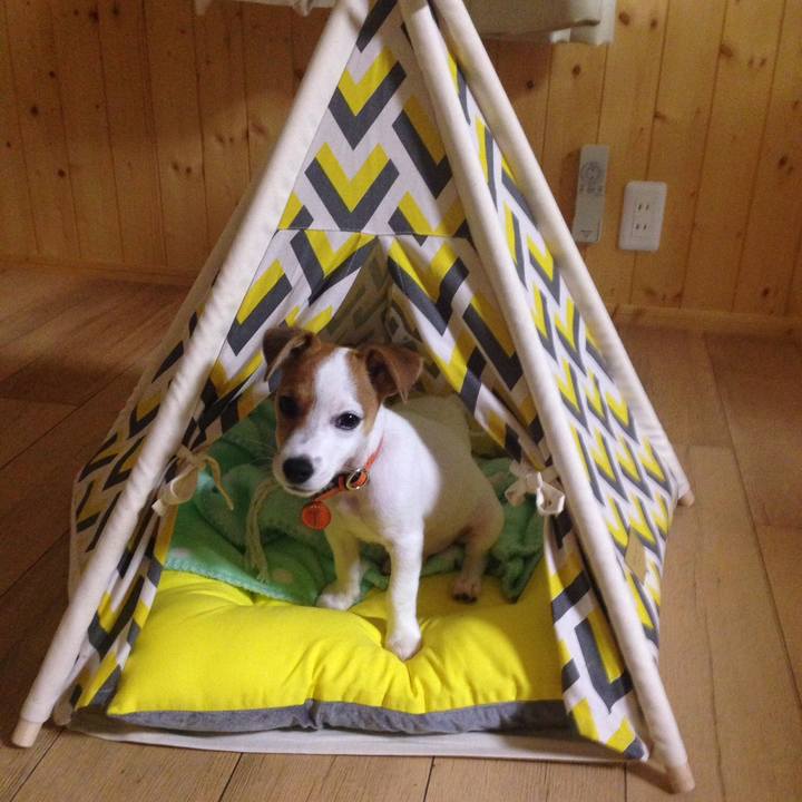 71fd7ff2 1976 4bc2 8cee 3fb62c5f2dc5