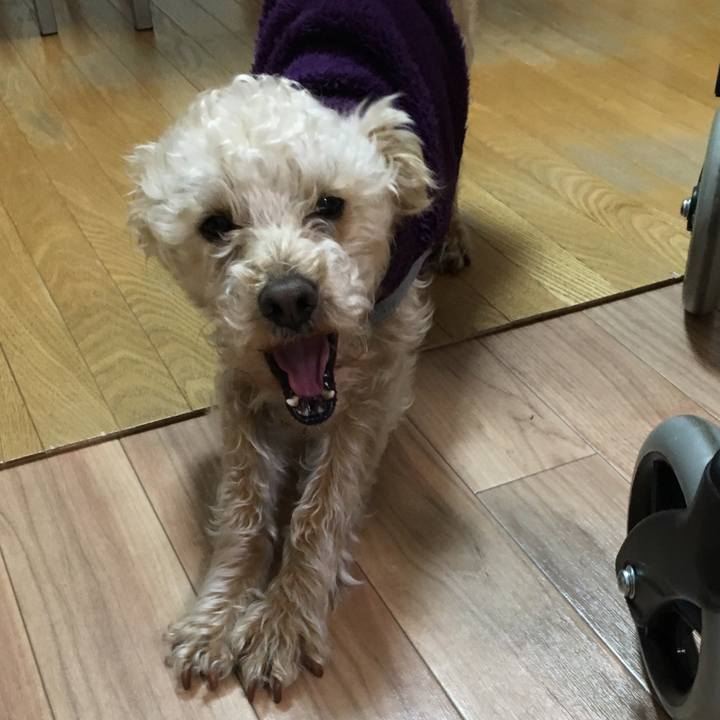 71fe26fb 4d50 4f75 a26b 8edbb8b12759