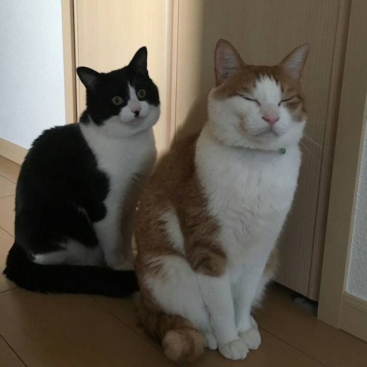 71fe3e2d b50a 4358 98d2 1e5a7d35158a