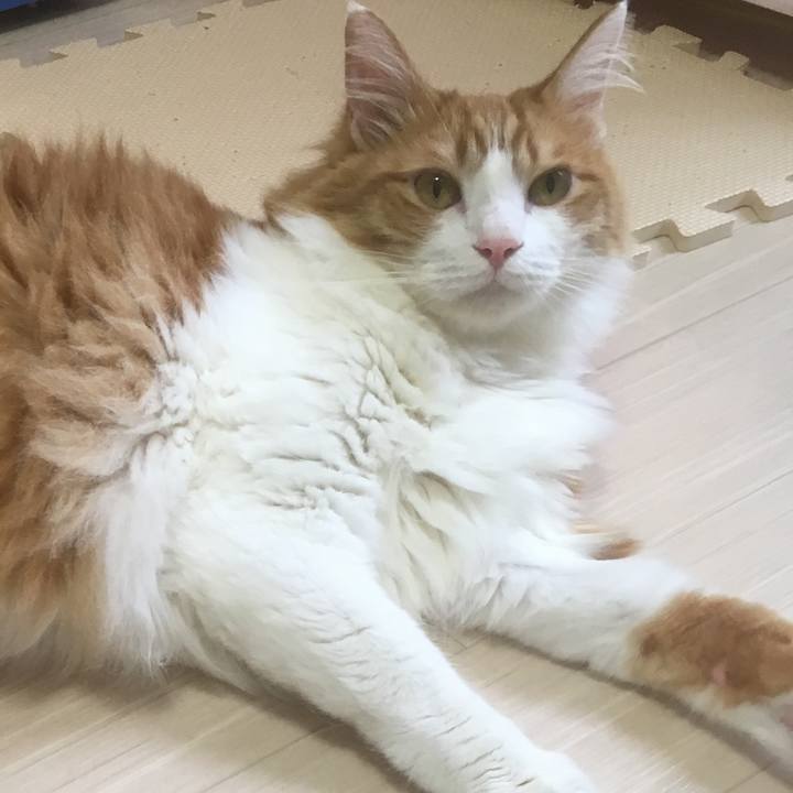 71fe42e4 0ffa 4b8a 98bd 82c7dcd09edf