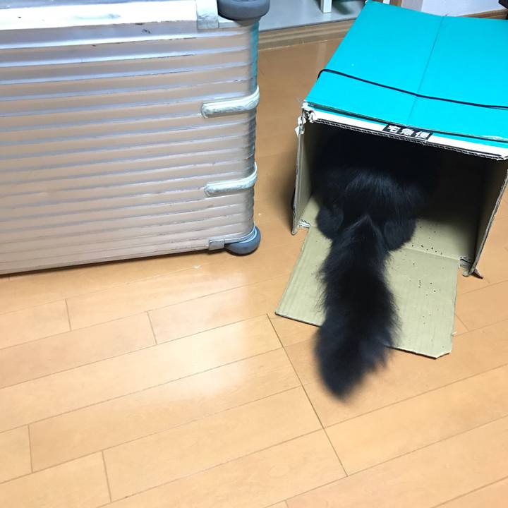 71fe9d4a 094d 4143 b5af dda3b7d19185