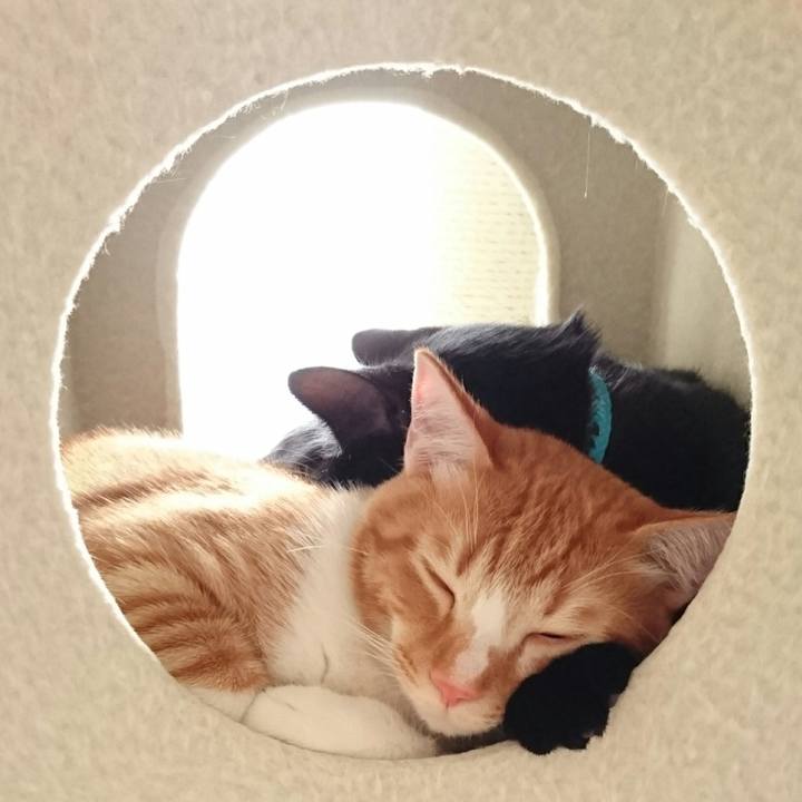 71fec7b1 587d 4a7d 9833 2dfd045a4073