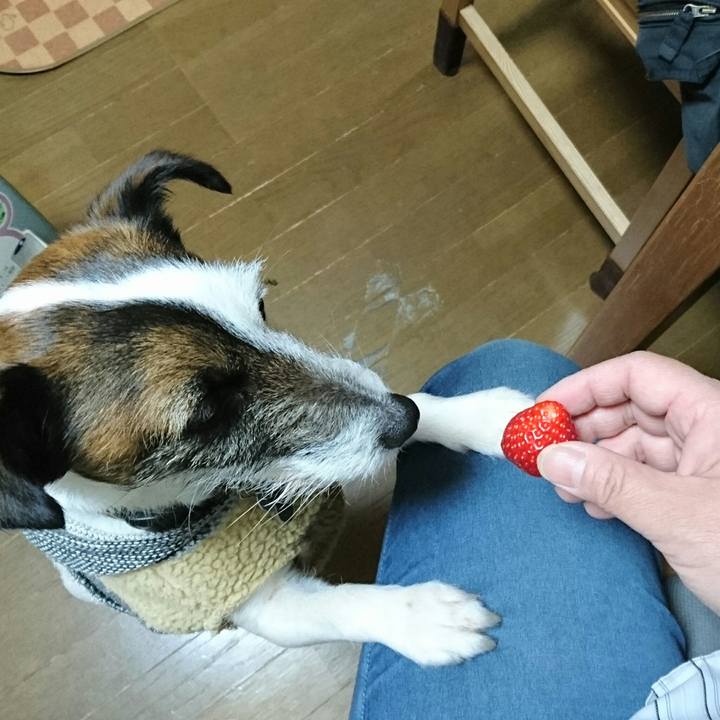 72006aef 94ee 4985 a894 280b0c2e41cd