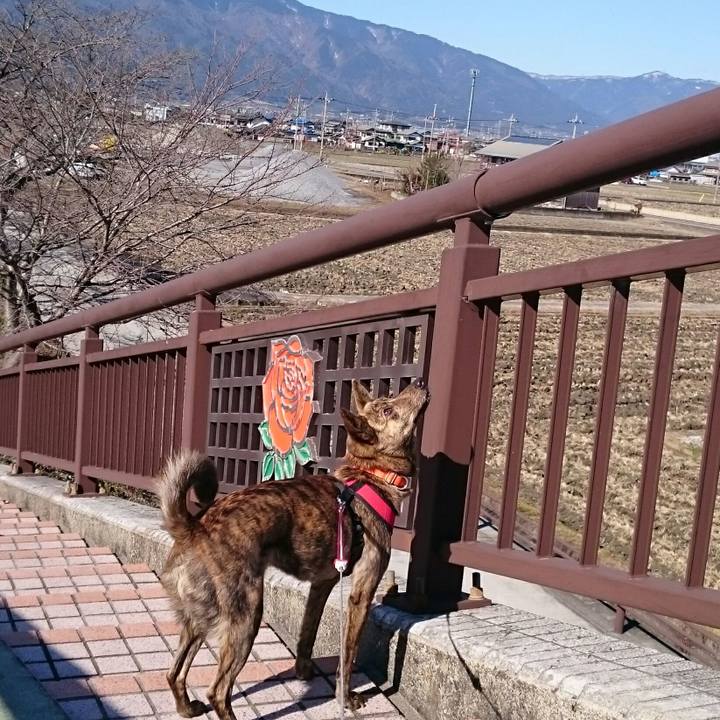 7200ba67 5578 4e0d b596 95230a0ff42b