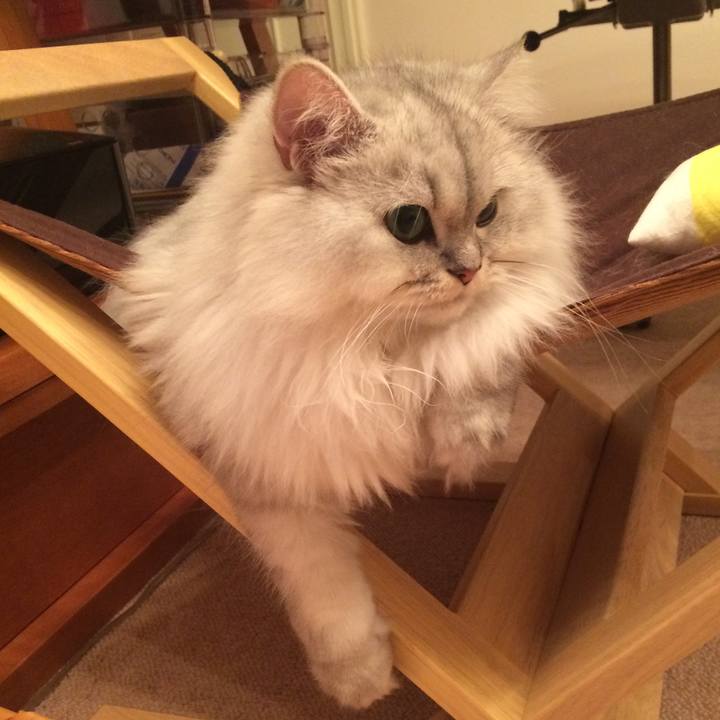 7200ff8f 6e20 437c a19d 156a71717e7f