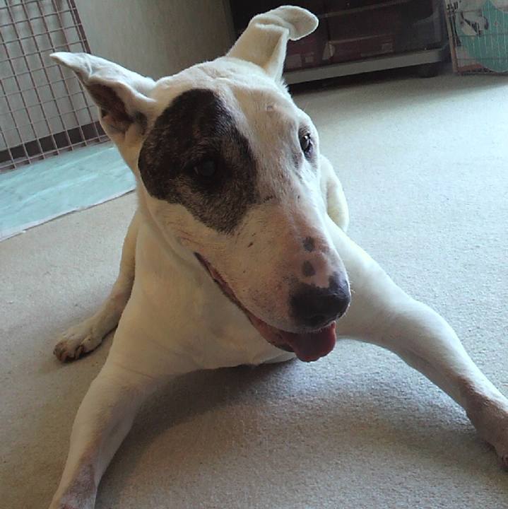 72017b0a ec00 496b abf2 196569ac4ffc