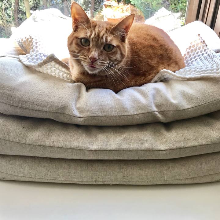 72019283 15c9 4236 b704 06786f948c10