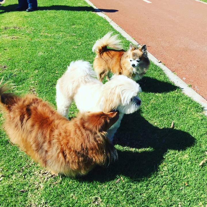 7201d0da 5409 4536 b849 cfd8c44d9a92