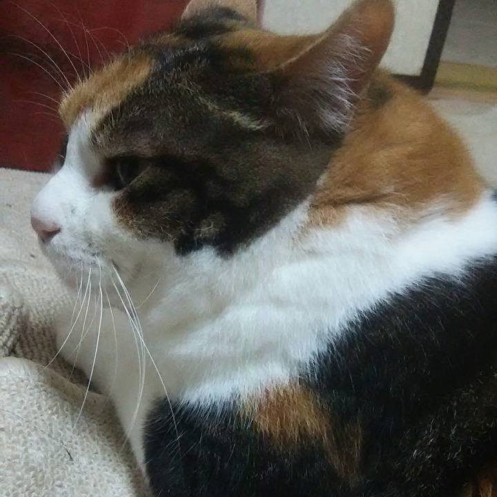 7201d1a3 82b3 4045 8911 dbe1a289ec8f