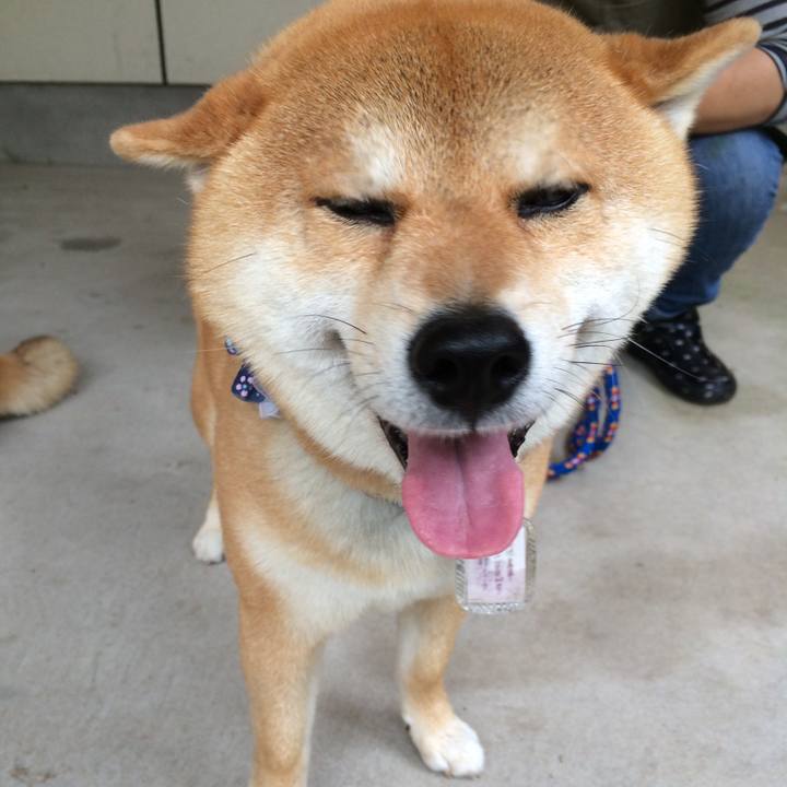 7201eba6 291f 4960 8566 611ec17494cd