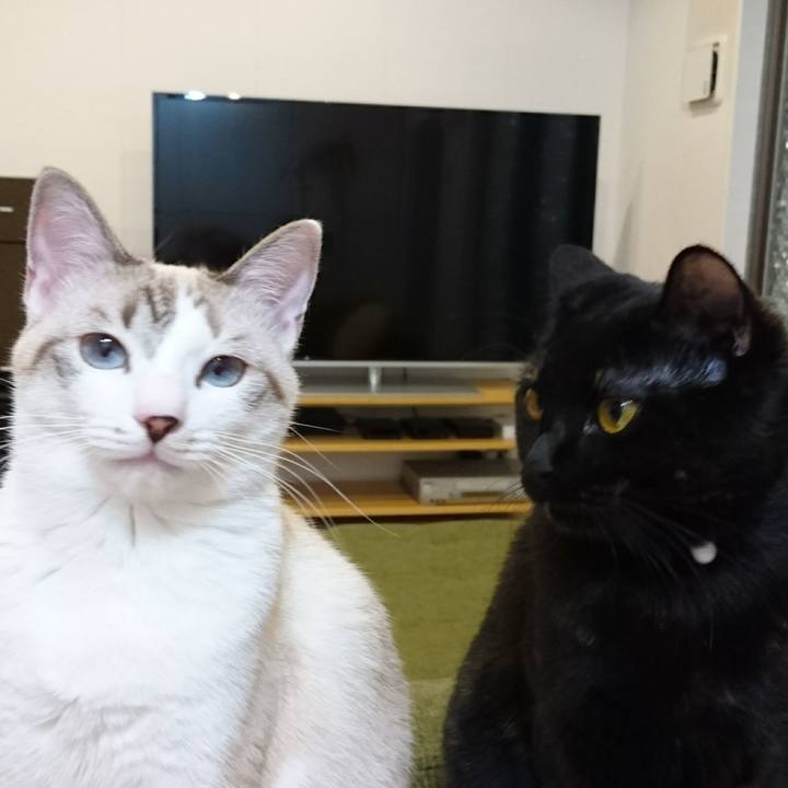 720266c3 3915 48e7 bd43 1b659c96a2b7