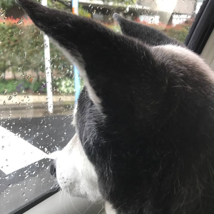 72031e7b a7d6 477b 9d30 89028e0a5193