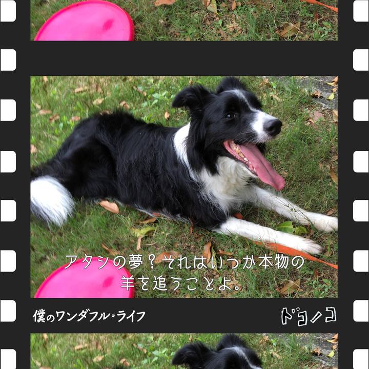 720440e1 46d3 4c23 8d3d f54682db632b