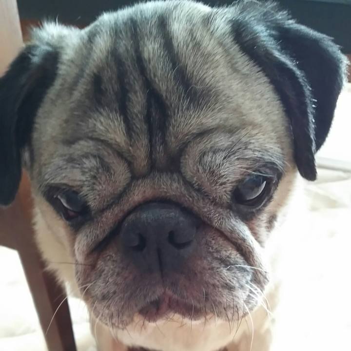 7204671f 4edc 4709 9d8e 12cce45fabd9